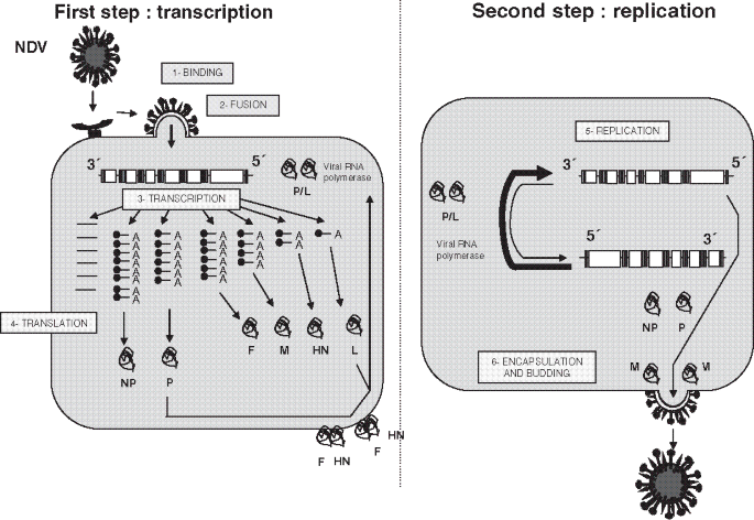 figure 1_30