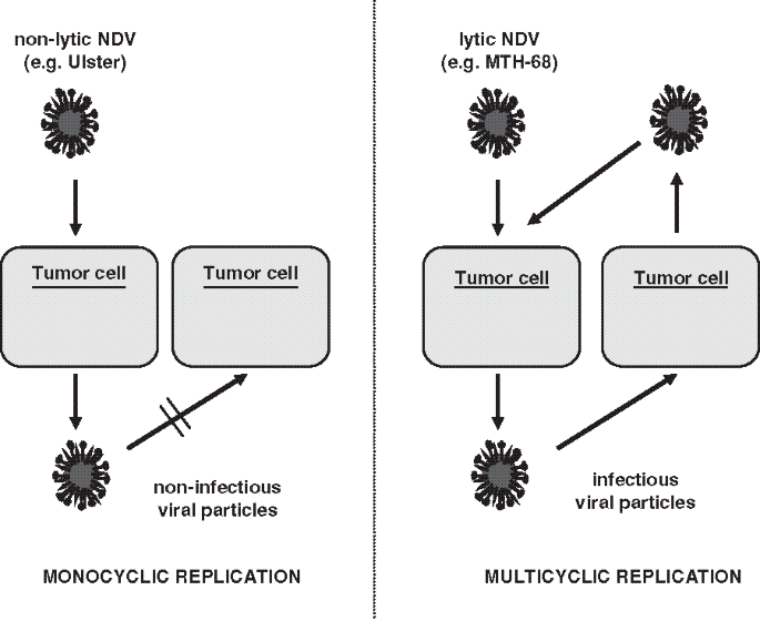 figure 3_30