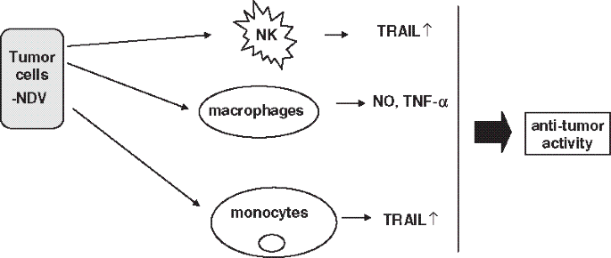 figure 4_30