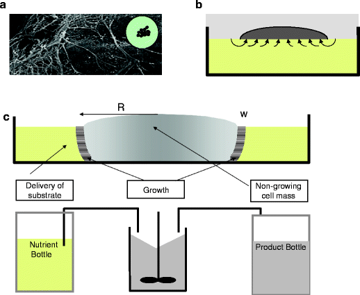 figure 22