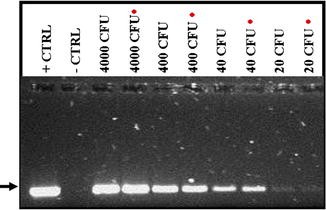 figure 2_2