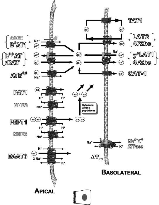 figure 15_7_149577_1_En