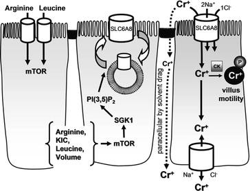 figure 15_8_149577_1_En