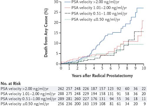 PSA Velocity at Presentation as a Predictor of Prostate Cancer  Aggressiveness | SpringerLink