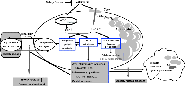 figure 17_3_144707_2_En