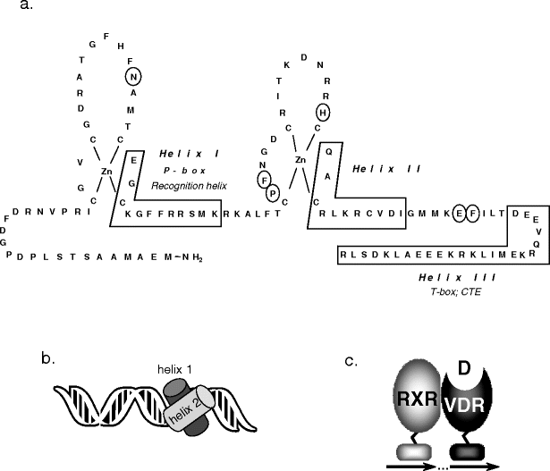 figure 5_3_144707_2_En