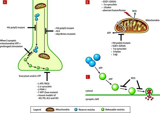 figure 4_1_150867_1_En