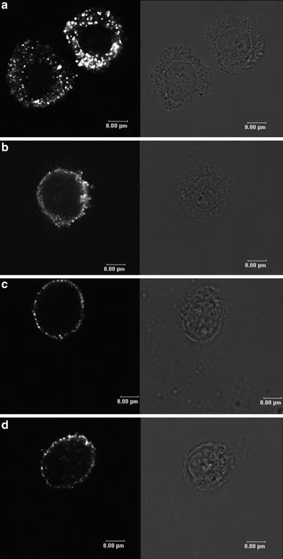 figure 3_24