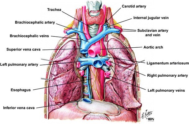 figure 4_11_145597_2_En