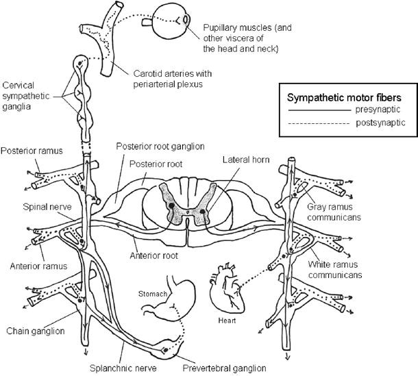 figure 4_21_145597_2_En