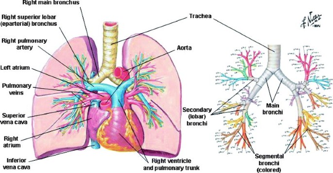 figure 4_25_145597_2_En