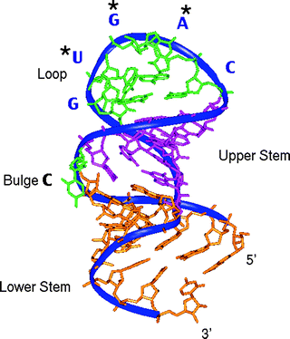 figure 1_3