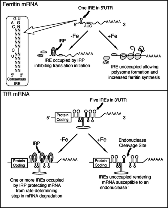 figure 3_3