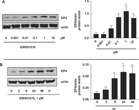 figure 1_17