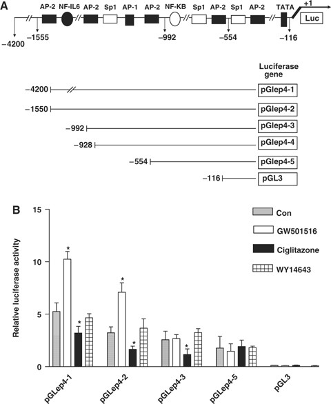 figure 2_17