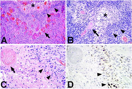 figure 22_2_159486_1_En