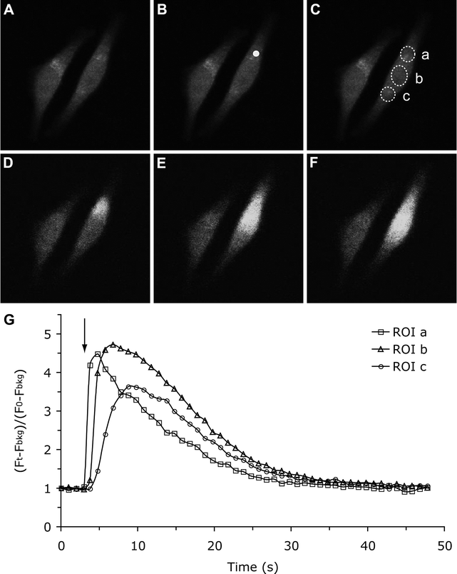 figure 6_3_159726_1_En