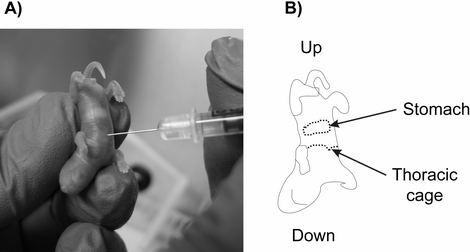 figure 6_2_144811_2_En