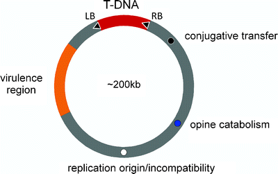 figure 1_19