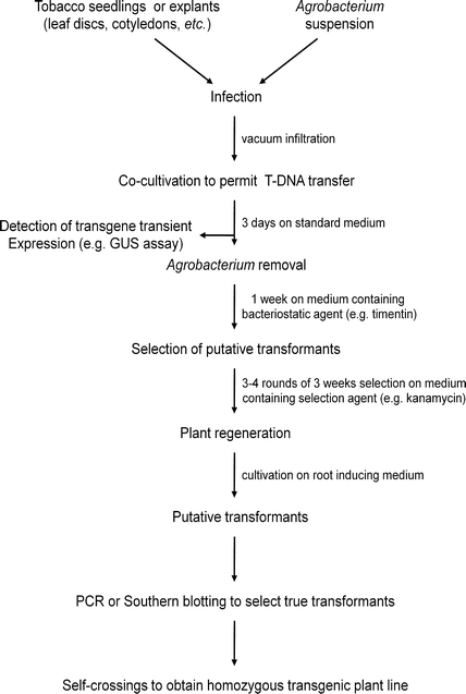 figure 2_19