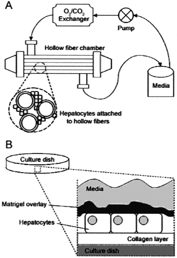 figure 6_1_157372_1_En