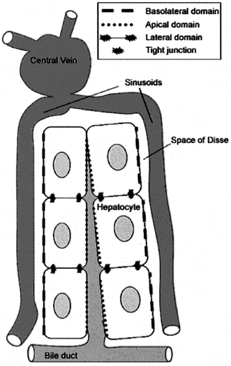 figure 6_2_157372_1_En