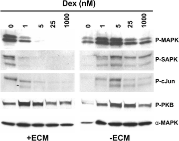 figure 6_7_157372_1_En