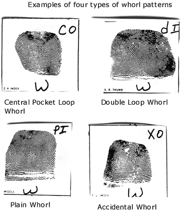 Fingerprints | SpringerLink