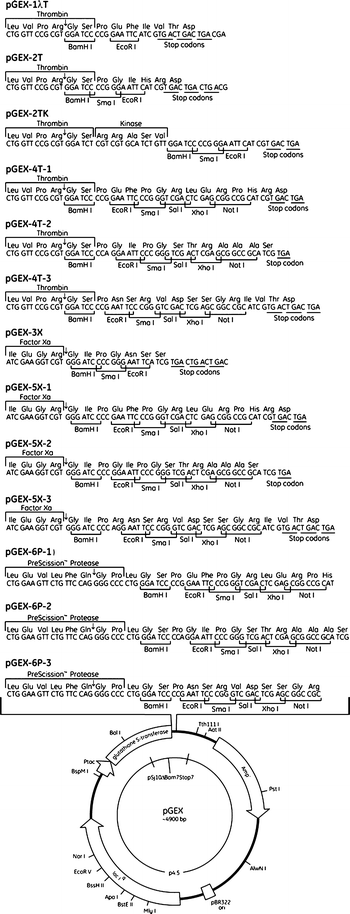 cjc 1295 ipamorelin oral troche cjc 1295/ipamorelin pills CJC-1295: The Growth Hormone Peptide and Its  Benefits