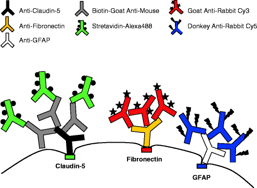 figure 1_7