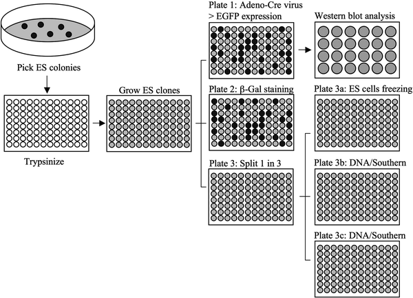 figure 2_9