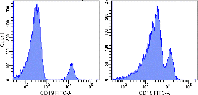 figure 1_8