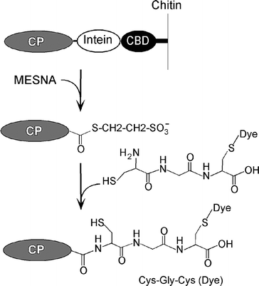 figure 6_1_157234_1_En