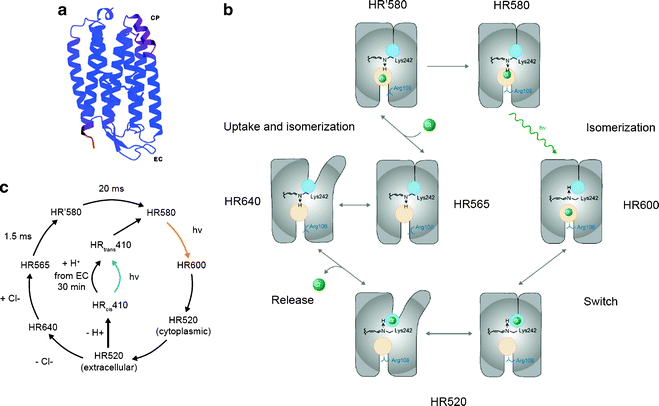 figure 2_6