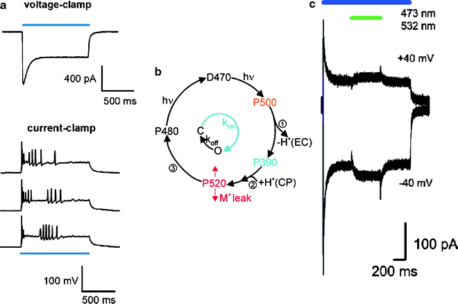 figure 3_6