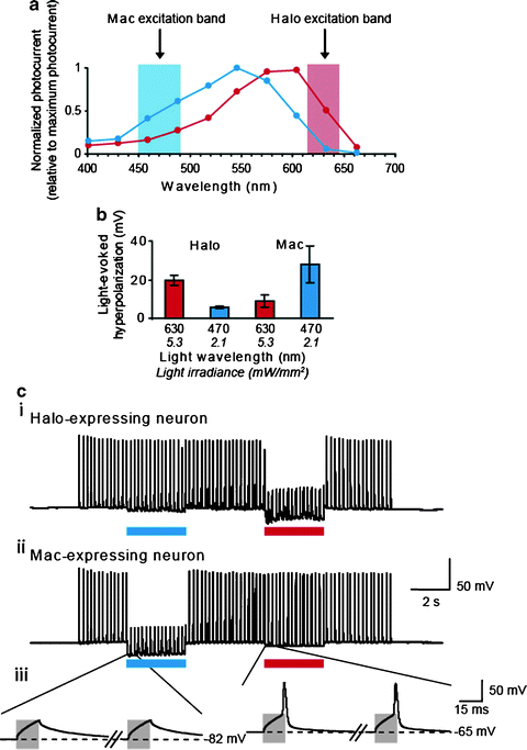 figure 5_6