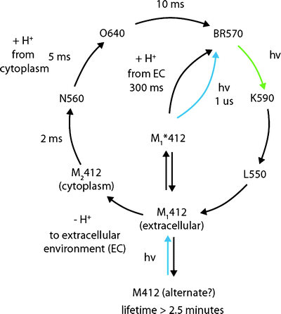 figure 6_6