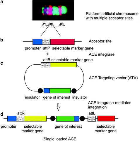 figure 1_10