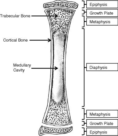 figure 3_2_188645_1_En