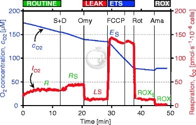 L/R coupling-control ratio - Bioblast