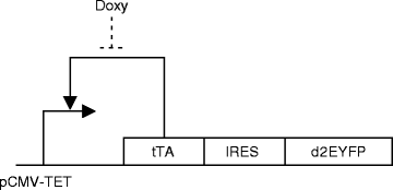 figure 2_4