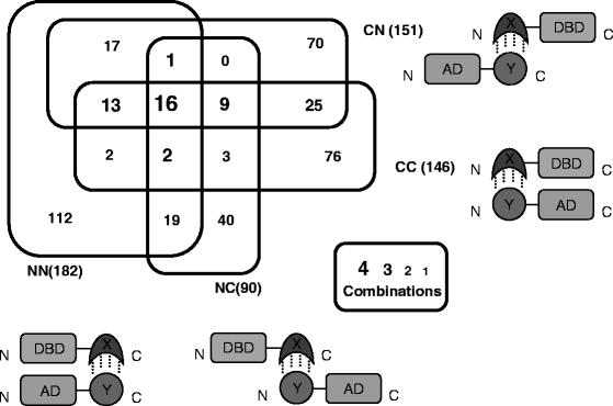 figure 2_21