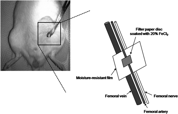 figure 1_16