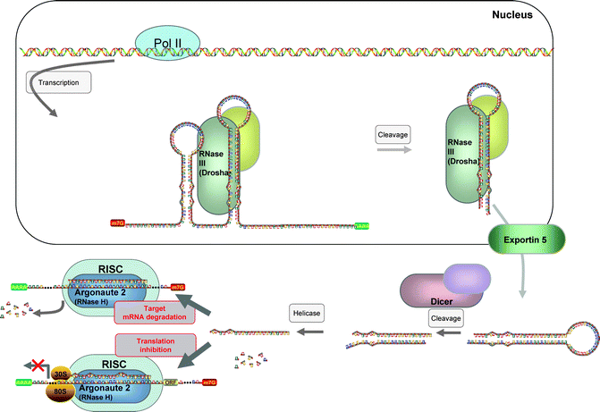 figure 1_19