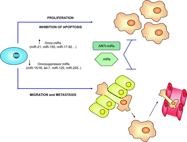 figure 7_19