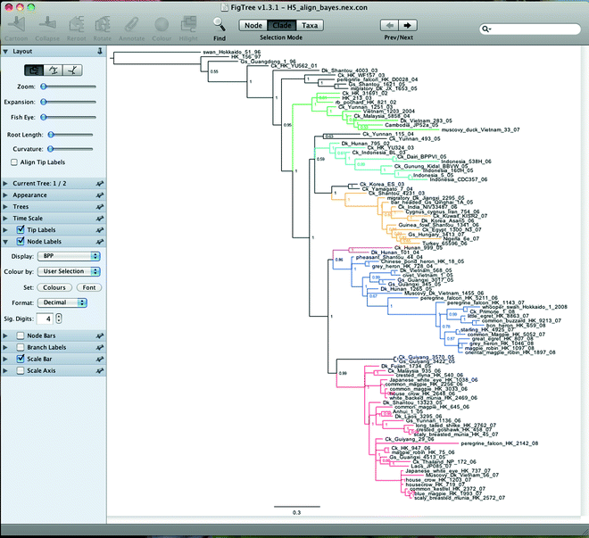 figure 11_13