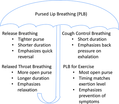 Breathing Techniques. Rebooted.