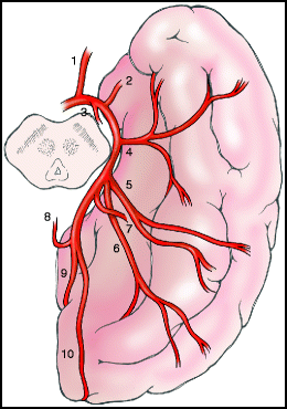 figure 39