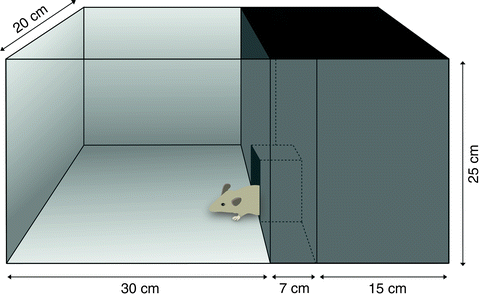 A Practical Guide to Anxiety-Related Behavior Rodents | SpringerLink