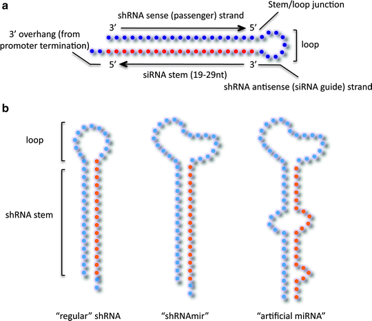 Short Hairpin RNA-Mediated Gene Silencing | SpringerLink